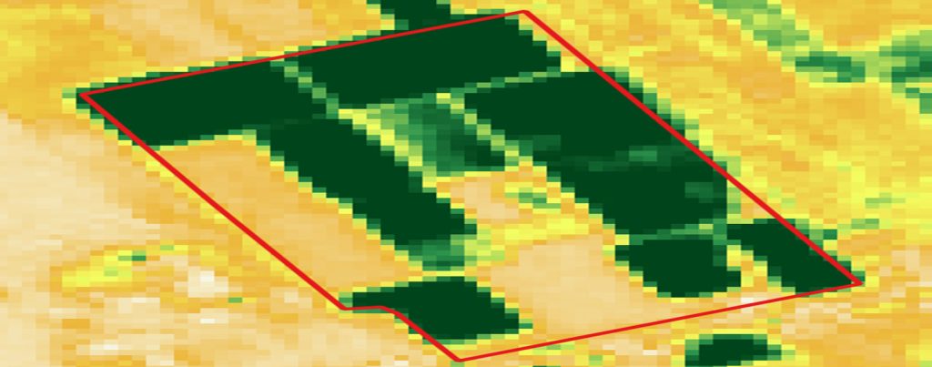 يوم دراسي ومناقشة مع مجمع التنمية الزراعية بالدخيلة سليانة