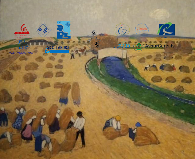 Suivi / élaboration d’indices de sécheresse pour l’aide à la décision concernant la gestion de la productivité céréalière en Tunisie